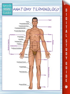cover image of Anatomy Terminology